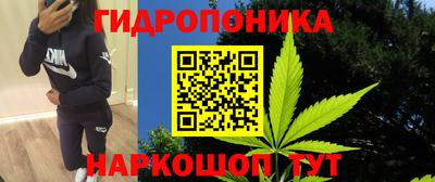 Альфа ПВП Комсомольск-на-Амуре