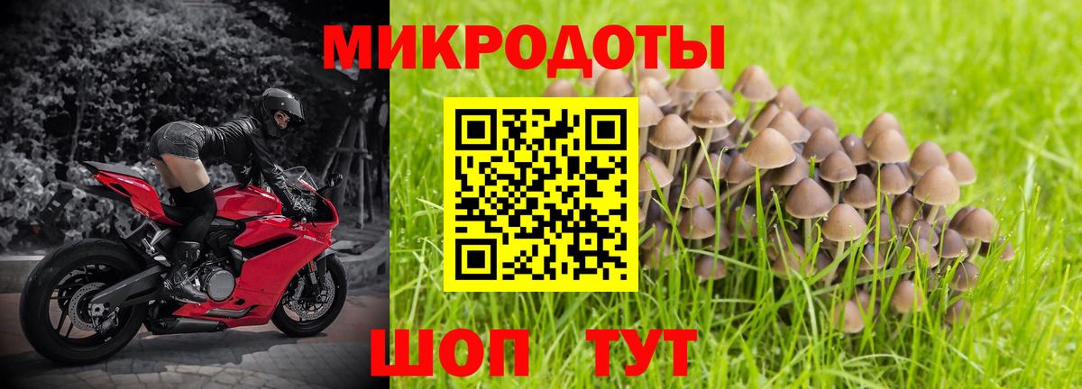 даркнет сайт  Вход с VPN  Гусиноозёрск  Галлюциногенные грибы прущие грибы 
